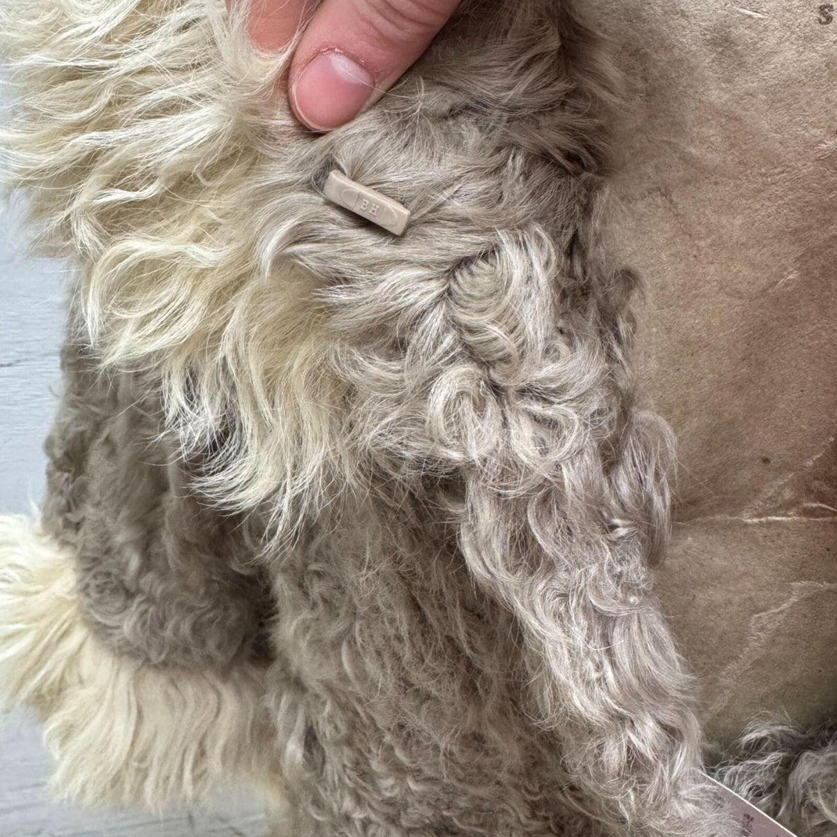 Y2K Vintage Mongolian Lamb Wool Mod Statement Jacket